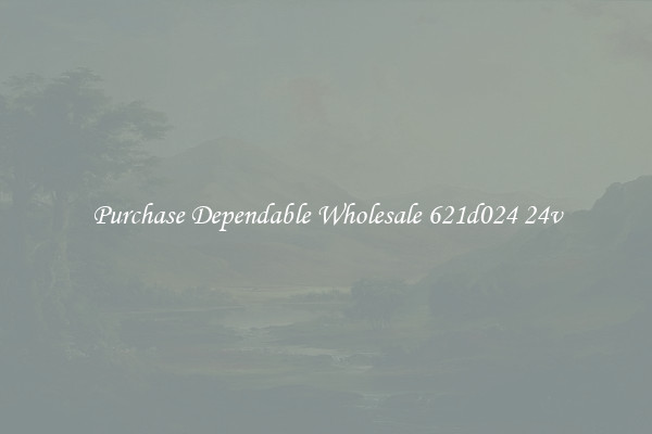 Purchase Dependable Wholesale 621d024 24v