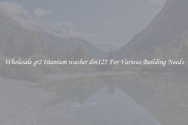 Wholesale gr2 titanium washer din125 For Various Building Needs