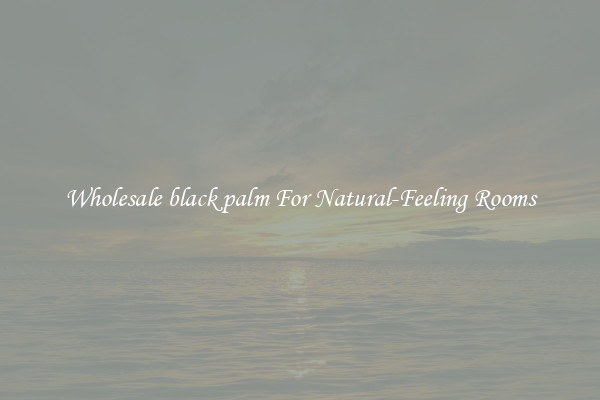 Wholesale black palm For Natural-Feeling Rooms