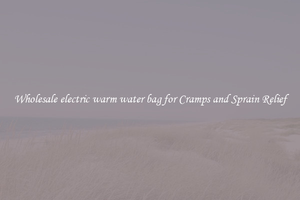 Wholesale electric warm water bag for Cramps and Sprain Relief