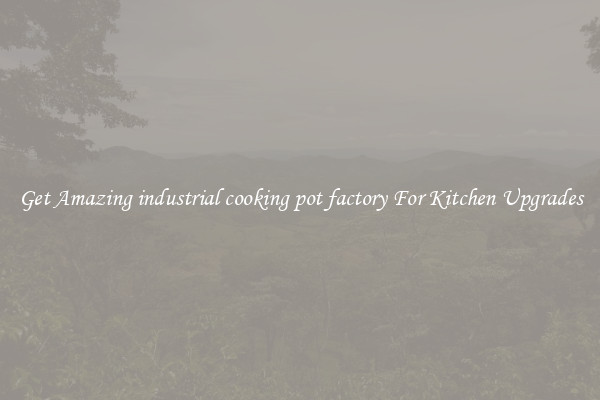 Get Amazing industrial cooking pot factory For Kitchen Upgrades