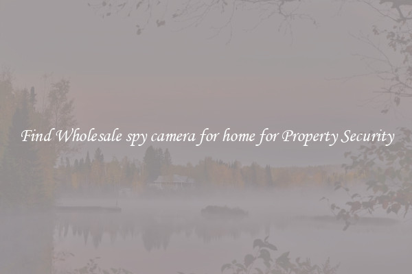 Find Wholesale spy camera for home for Property Security