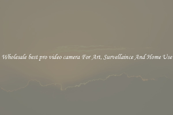 Wholesale best pro video camera For Art, Survellaince And Home Use