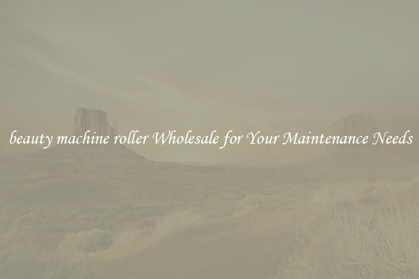 beauty machine roller Wholesale for Your Maintenance Needs