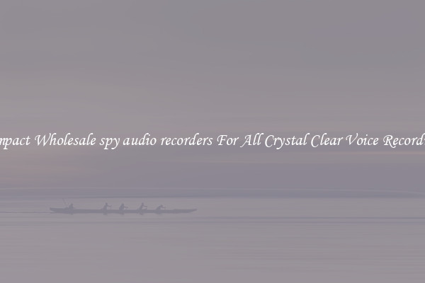 Compact Wholesale spy audio recorders For All Crystal Clear Voice Recordings
