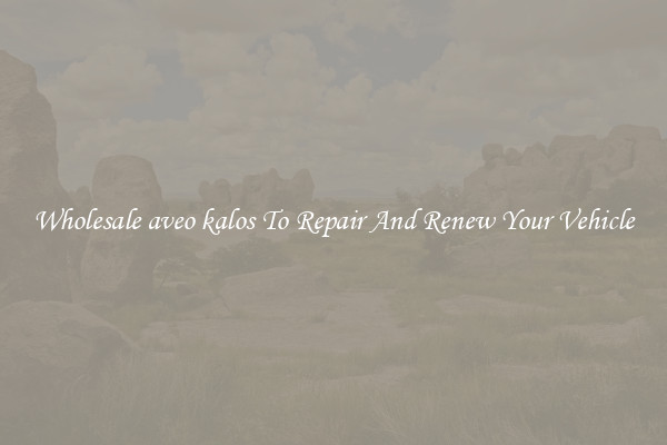 Wholesale aveo kalos To Repair And Renew Your Vehicle