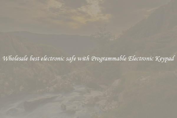 Wholesale best electronic safe with Programmable Electronic Keypad 