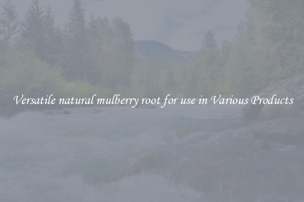 Versatile natural mulberry root for use in Various Products