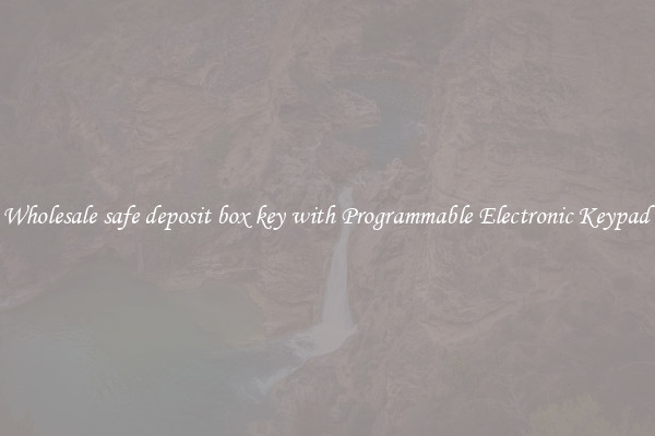 Wholesale safe deposit box key with Programmable Electronic Keypad 