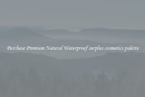 Purchase Premium Natural Waterproof surplus cosmetics palette
