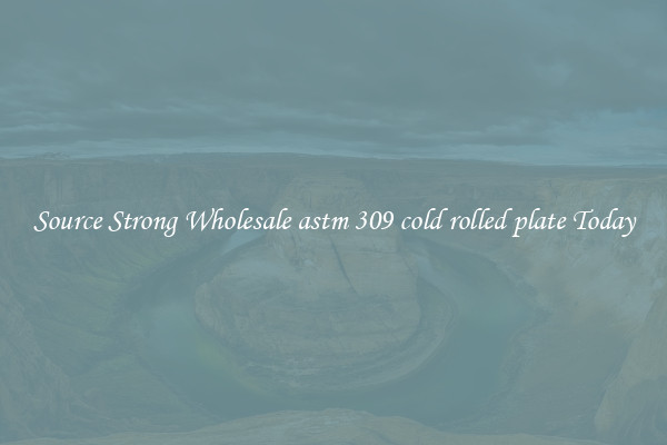 Source Strong Wholesale astm 309 cold rolled plate Today