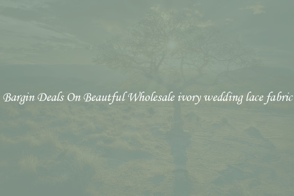 Bargin Deals On Beautful Wholesale ivory wedding lace fabric