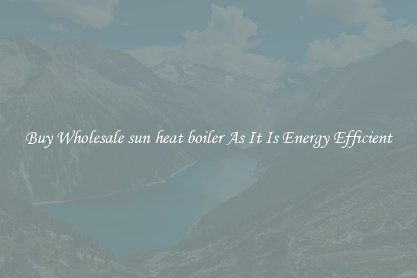 Buy Wholesale sun heat boiler As It Is Energy Efficient